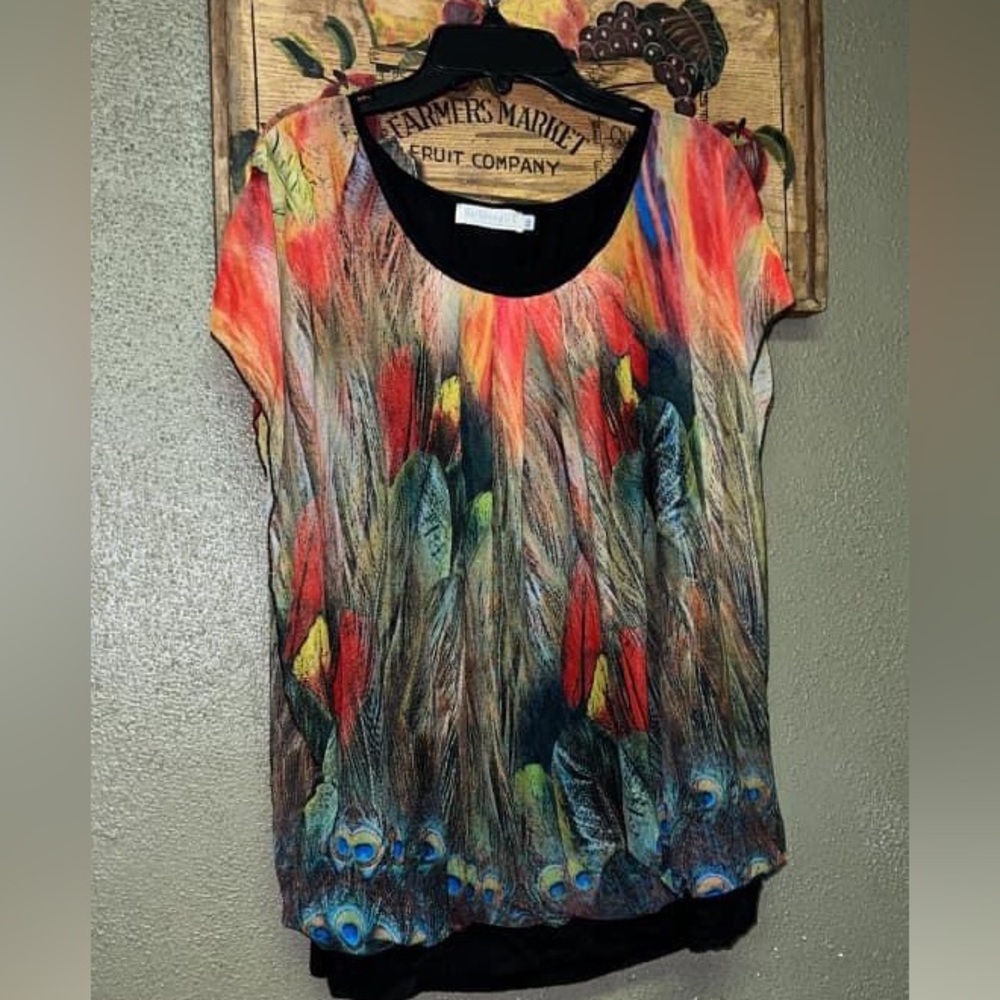 Gorgeous peacock chiffon blouse